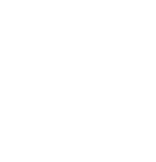 FeliCittà Conseil